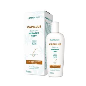 Cannaderm Capillus Šampon seborea CBD+ 150 ml obraz