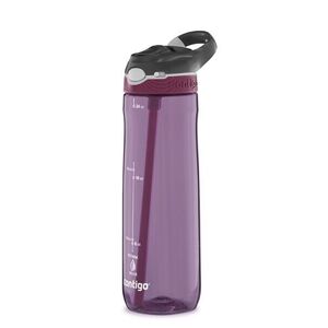 Contigo Láhev na pití Ashland Passionfruit fialová 720 ml obraz