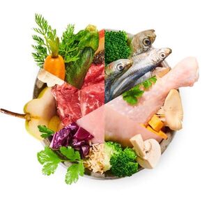 BiBi FOOD 14 denní mix - vařené psí jídlo, gramáž: 250 g obraz