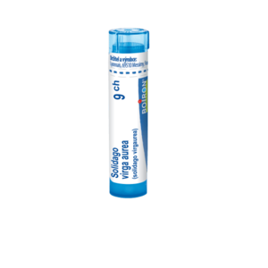 Boiron SOLIDAGO VIRGA AUREA CH9 granule 4 g obraz