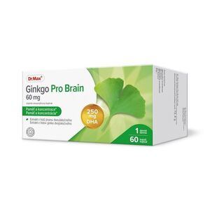 Dr. Max Ginkgo Pro Brain 60 mg 60 kapslí obraz