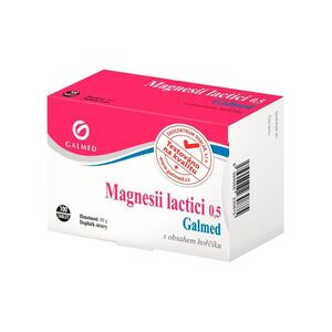 Galmed Magnesii Lactici 0, 5 g 100 tablet obraz