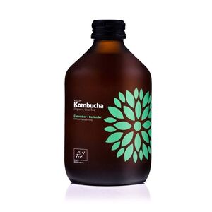 VIGO Kombucha okurka a koriandr BIO 330 ml obraz