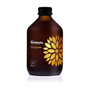 VIGO Kombucha Yerba Maté BIO 330 ml obraz