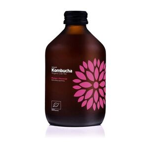VIGO Kombucha mango a maracuja BIO 330 ml obraz