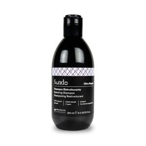 Sendo Restoring Shampoo regenerační šampon 250 ml obraz