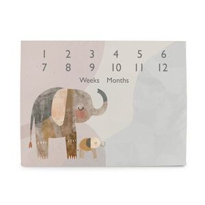 Ceba Podložka milníková na focení (92x72) Basic Elephant Family obraz