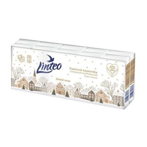 Linteo Den&Noc Papírové kapesníky 3vrstvé 10x10 ks obraz