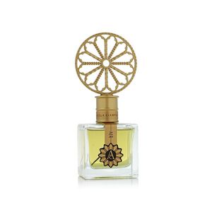 Angela Ciampagna Aer Extrait de Parfum 100 ml UNISEX obraz