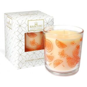 Santini Luxusní svíčka - Spiced Orange Apple obraz