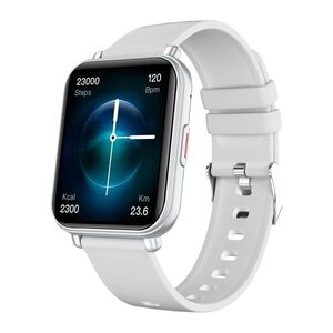 Niceboy WATCH 4 Artic Silver obraz