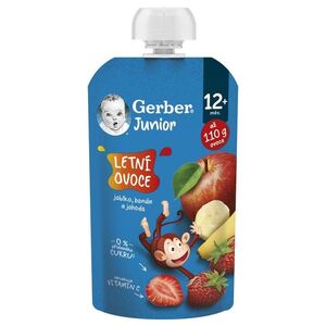 Gerber Junior Letní ovoce kapsička 110 g obraz
