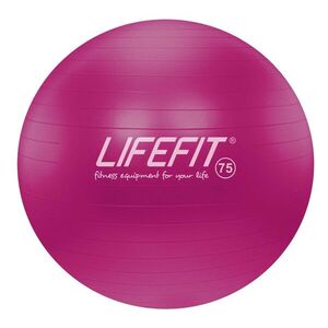 Lifefit GYM. MIC MAT, 75cm, bordo obraz