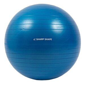 SharpShape Gymnastický míč 75 cm modrý obraz