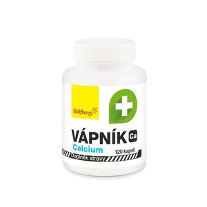 Wolfberry Vápník 120 kapslí obraz