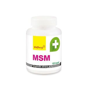 Wolfberry MSM 120 kapslí obraz