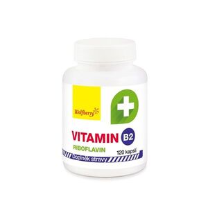 Wolfberry Vitamín B2 - Riboflavin 120 kapslí obraz