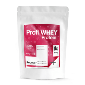KOMPAVA Profi WHEY Protein – vánoční edice (příchuť perník, 500 g / 16 porcí) obraz