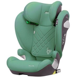 AVOVA Sora-Fix 2024 Lime Green, 100-150 cm obraz