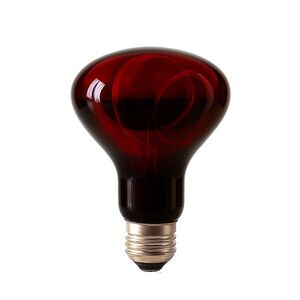 Mericare Infračervená žárovka 100 W obraz
