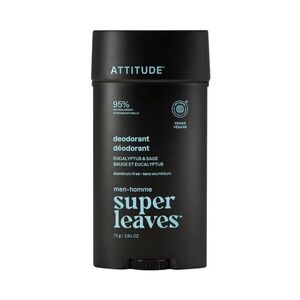 ATTITUDE Pánský deodorant Eukalyptus & Šalvěj 75 g obraz