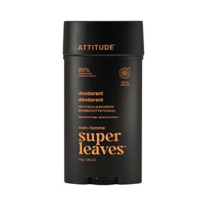 ATTITUDE Pánský deodorant Pačuli & Bourbon 75 g obraz