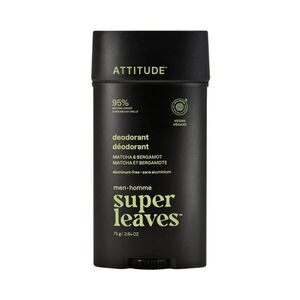 ATTITUDE Pánský deodorant Matcha & Bergamot 75 g obraz