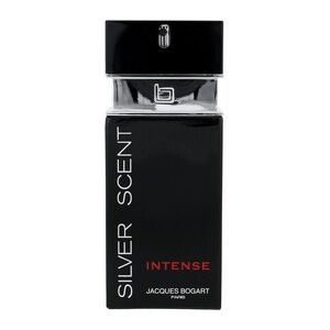 Jacques Bogart Silver Scent Intense EDT 100 ml M obraz