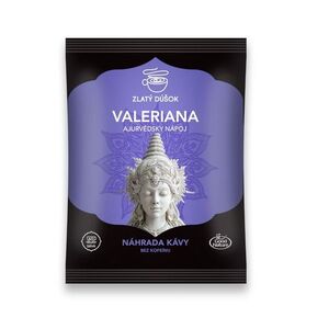 Good Nature Zlatý doušek Valeriana ajurvédský nápoj 100 g obraz