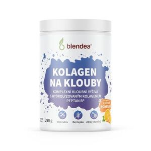 Blendea Směs Kolagen na klouby 390 g obraz