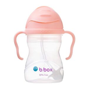 B.BOX Hrneček s brčkem - GELATO tutti frutti 240 ml obraz