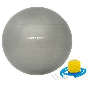 Tunturi Gymnastický míč s pumpičkou stříbrný varianta 90 cm obraz