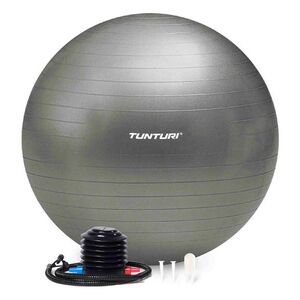 Tunturi Gymnastický míč zesílený 55 cm varianta stříbrný obraz
