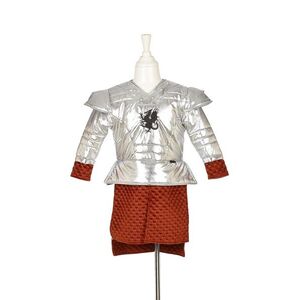 Souza! dětský kostým - gladiátor Murmillo - 5-7 let, 110-122 cm obraz