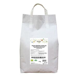 PROBIO Gastro Mouka pšeničná hladká BIO 4 kg obraz