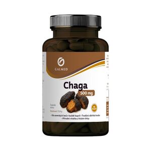 Galmed Chaga 500 mg 90 kapslí obraz