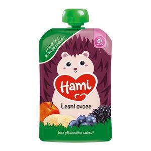 Hami Smoothie Lesní ovoce 6m+ kapsička 100 g obraz