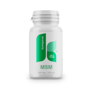 KOMPAVA MSM 500 mg/120 kapslí obraz