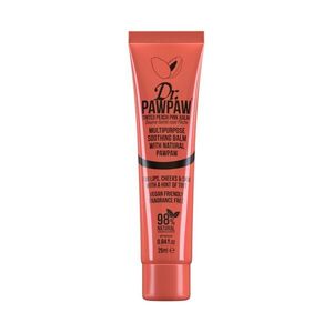 Dr. PAWPAW Peach Pink víceúčelový tónovaný balzám 25 ml obraz