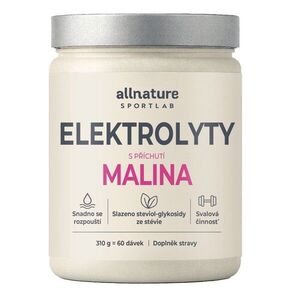 Allnature Sportlab Elektrolyty malina 310 g obraz