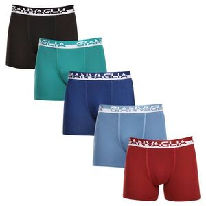 Gianvaglia 5PACK pánské boxerky vícebarevné (GVG-5011) XXL obraz