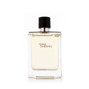 Hermès Terre D' EDT 100 ml M (Nový obal) obraz