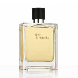 HERMÈS - Terre d'Hermès - Parfém obraz
