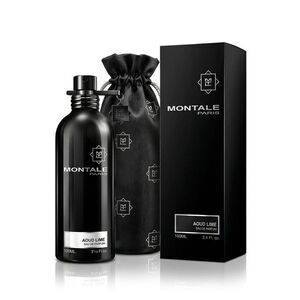 Montale Paris Aoud Lime EDP 100 ml UNISEX (Black Cover) obraz
