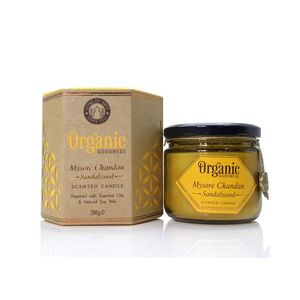 Song of India Vonná svíčka Organic Goodness - Mysore Chandan Sandalwood obraz