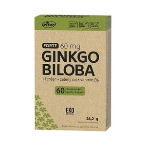 Vitar EKO Ginkgo biloba + zelený čaj 60 kapslí obraz