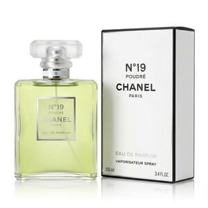 Chanel No 19 Poudre EDP 100 ml W obraz