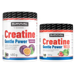 Survival Creatine Monohydrate Gentle Power AKCE 480 g broskev + 320 g lime-jahoda obraz