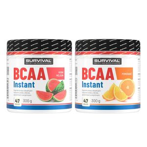 Survival BCAA Instant - akce 1+1 300 g meloun + 300 g pomeranč obraz