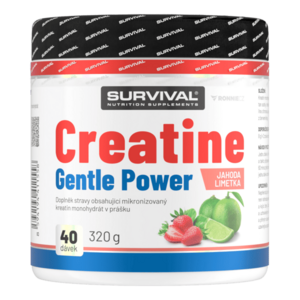 Survival Creatine Monohydrate Gentle Power 320 g limeta-jahoda obraz